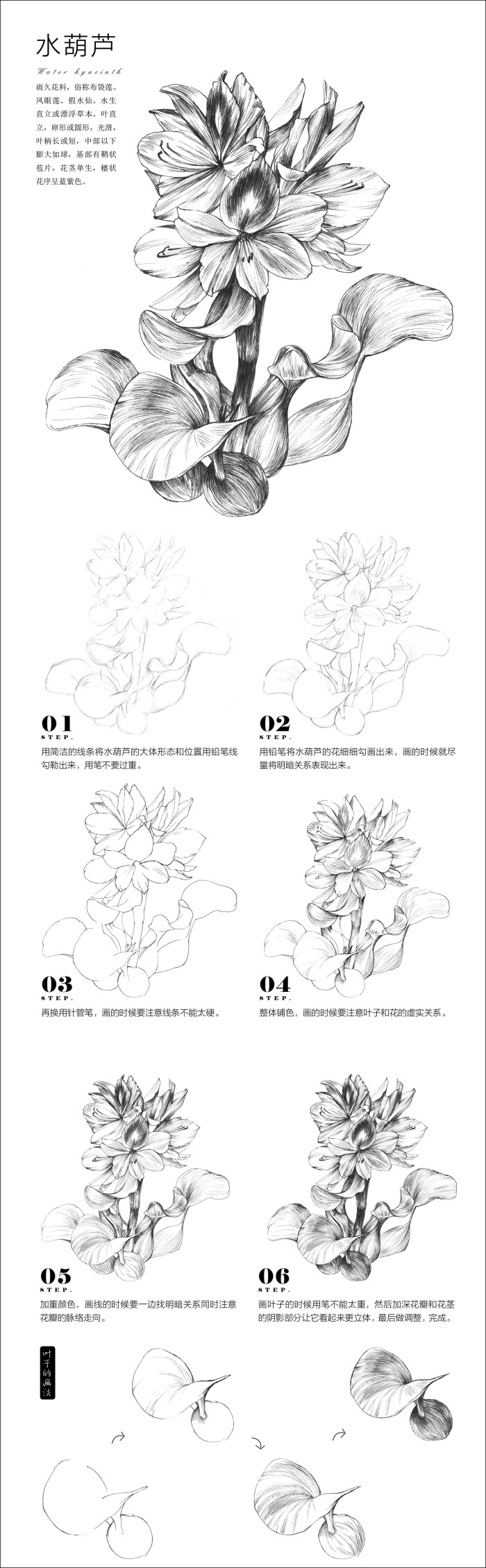 案例——水葫芦