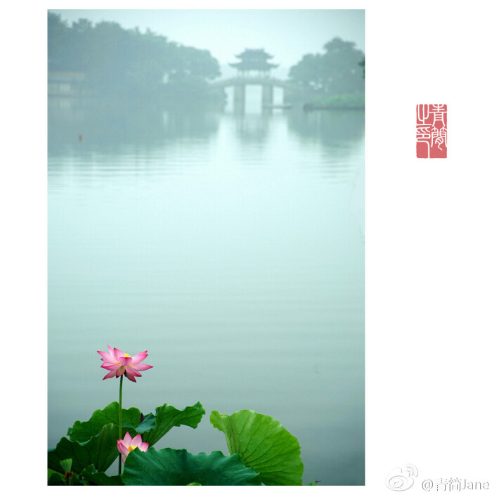 山有扶苏,隰有荷华。有时候,要离开炎夏,…-堆