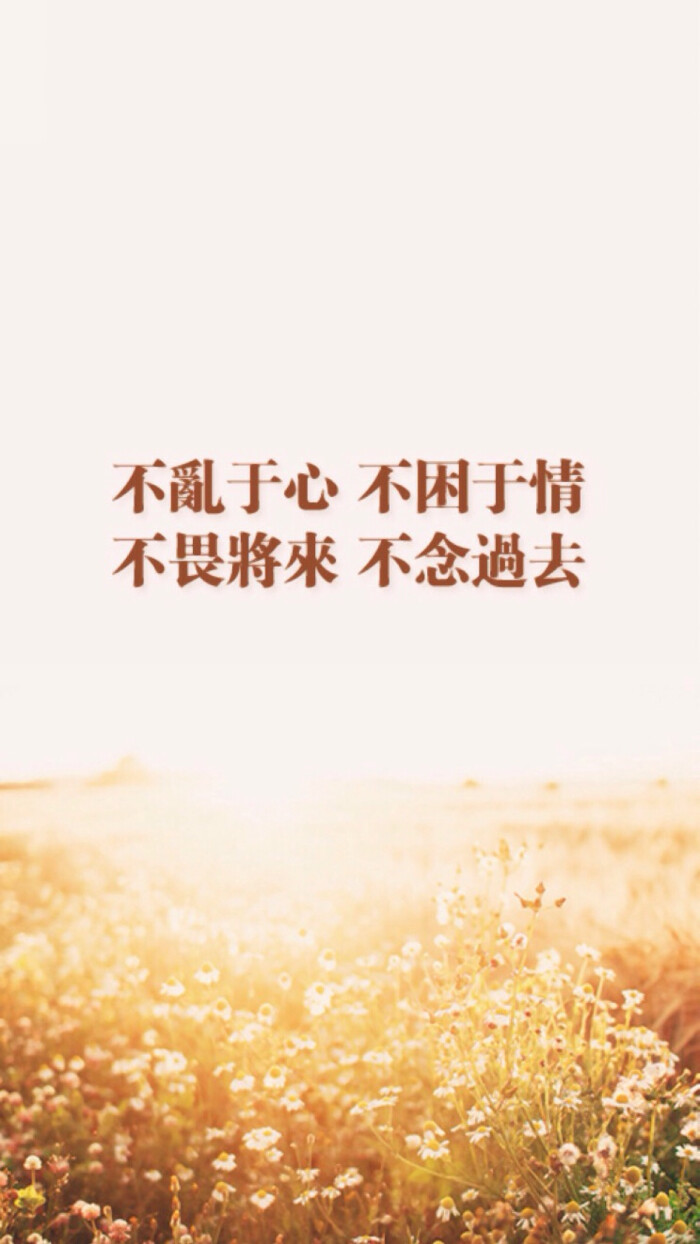 关于爱情 文字壁纸 高清壁纸 iphone壁纸