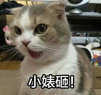 表情包哼唧