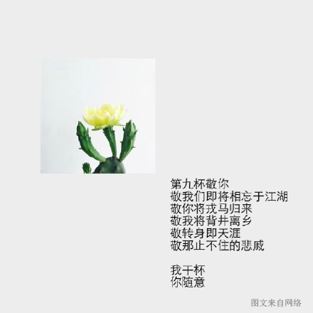 敬往事一杯酒 再爱也不回头