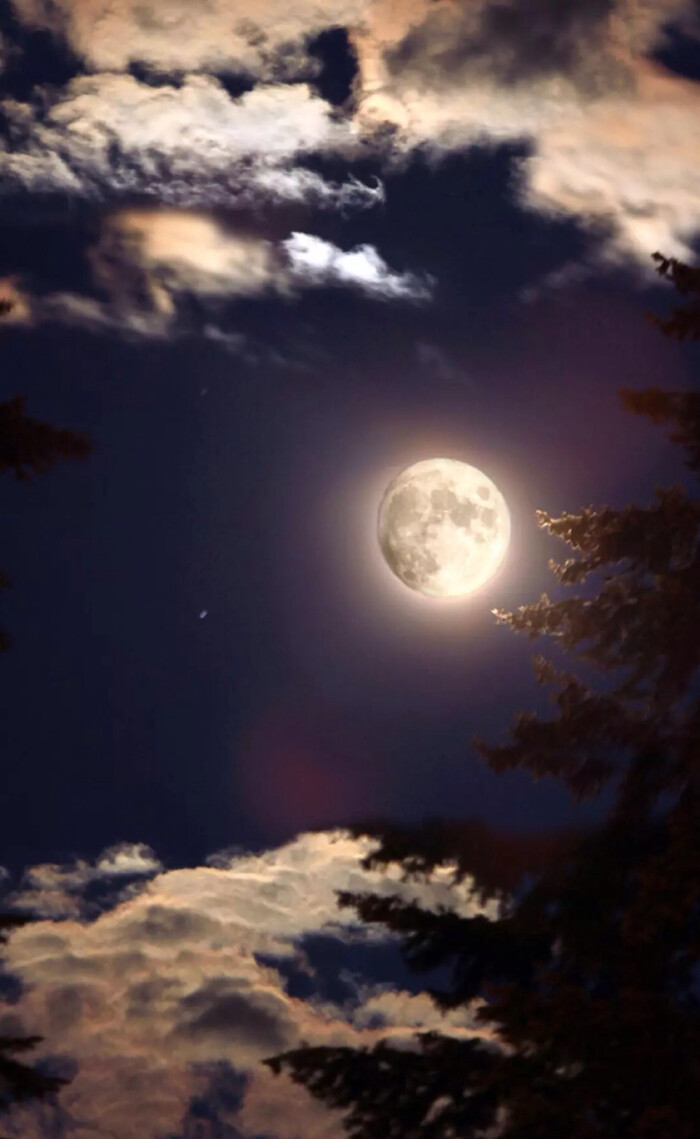 唯美星空 夜景 夜空 星光 月光 明月 自然风景 iphone手机壁纸 唯美