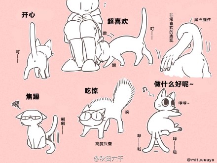 猫咪尾巴所表达的意思【日推:mituuuuya】想被卷手臂(*07艸`*)