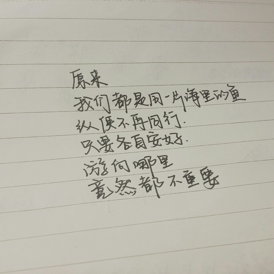 《我们的恋慕与忘却》冷莹