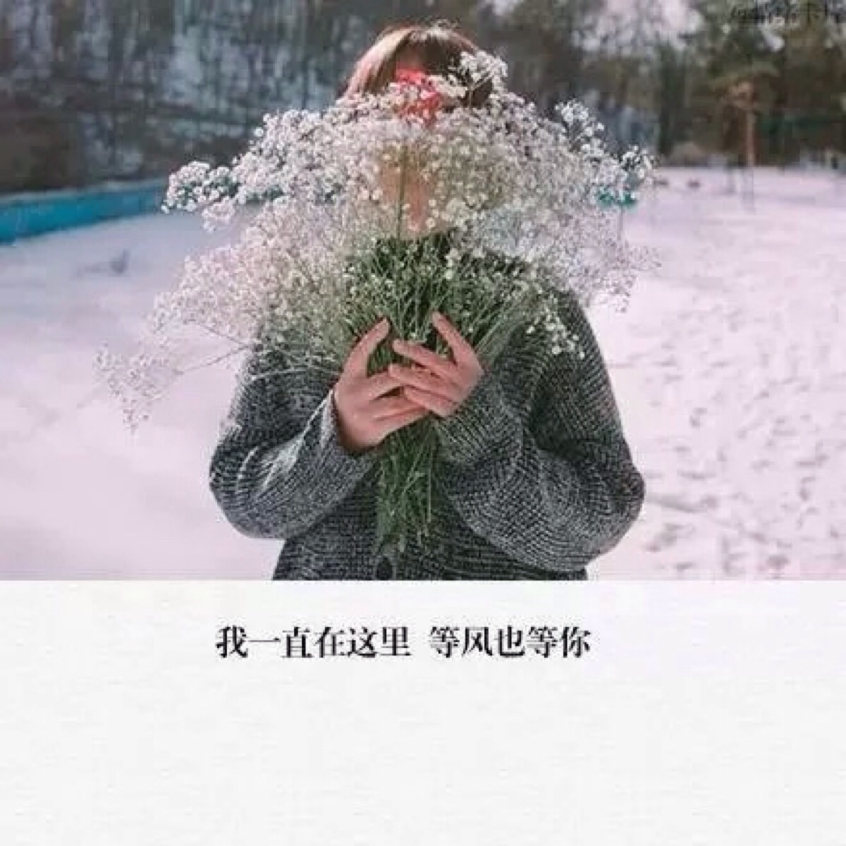 美句 短句 文艺 小清新 诗歌 文图皆来自网络 侵删致歉 【诗歌是朵