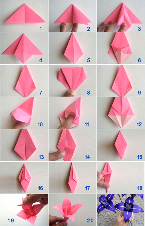 【劳技年级】百合花折纸过程中的第6步