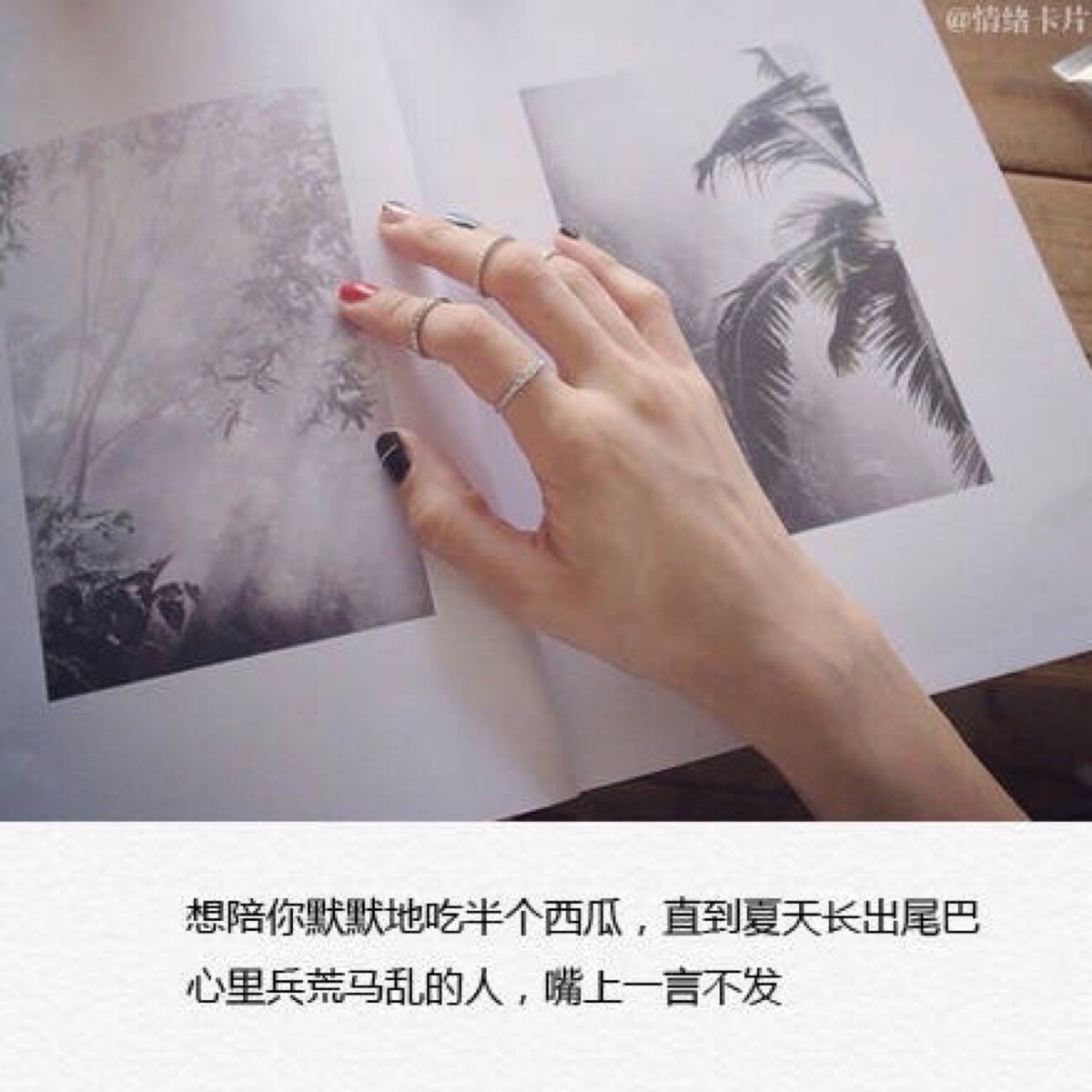 唯美文字配上小清新图片