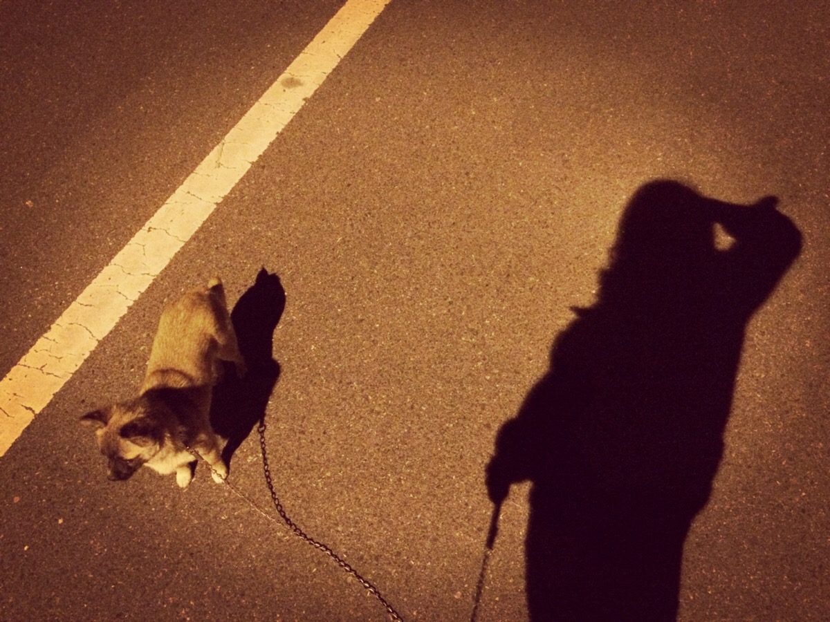 晚上一起散步的我们