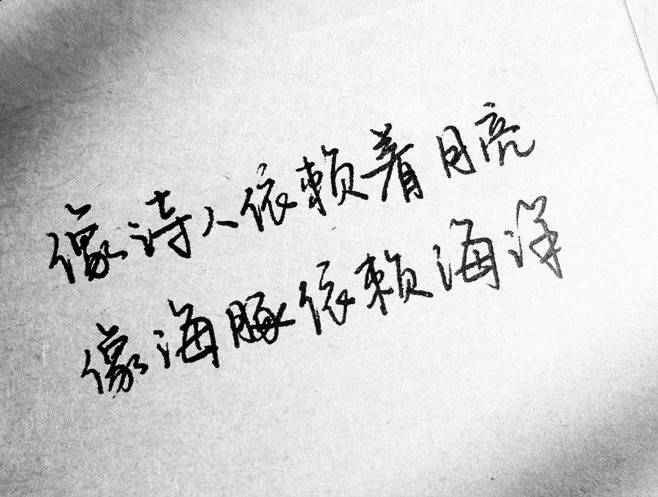 像诗人依赖着月亮 像海豚依赖海洋