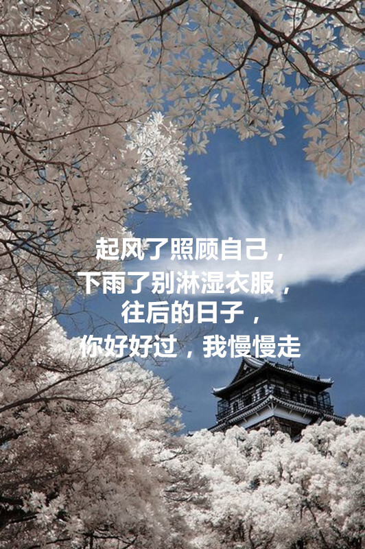 短句 起风了照顾自己,下雨了别淋湿衣服,往后的日子,你好好过,我慢慢