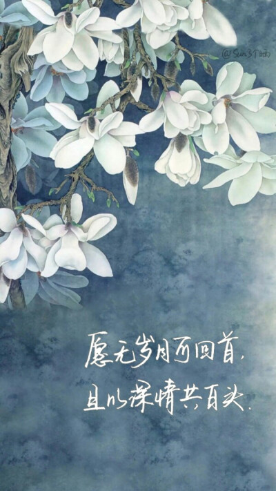 今天忽然感觉那些幸福其实是别人的,自己偷到一点就该知足该开心才对