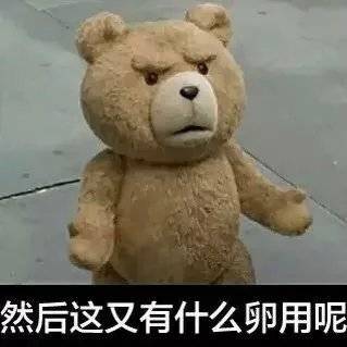 泰迪熊 表情包图片