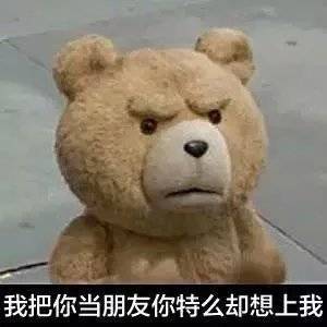 泰迪熊 表情包图片
