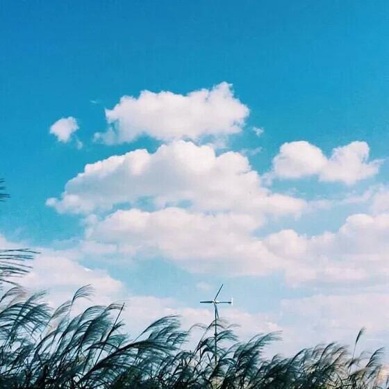 起风了 唯有努力生存