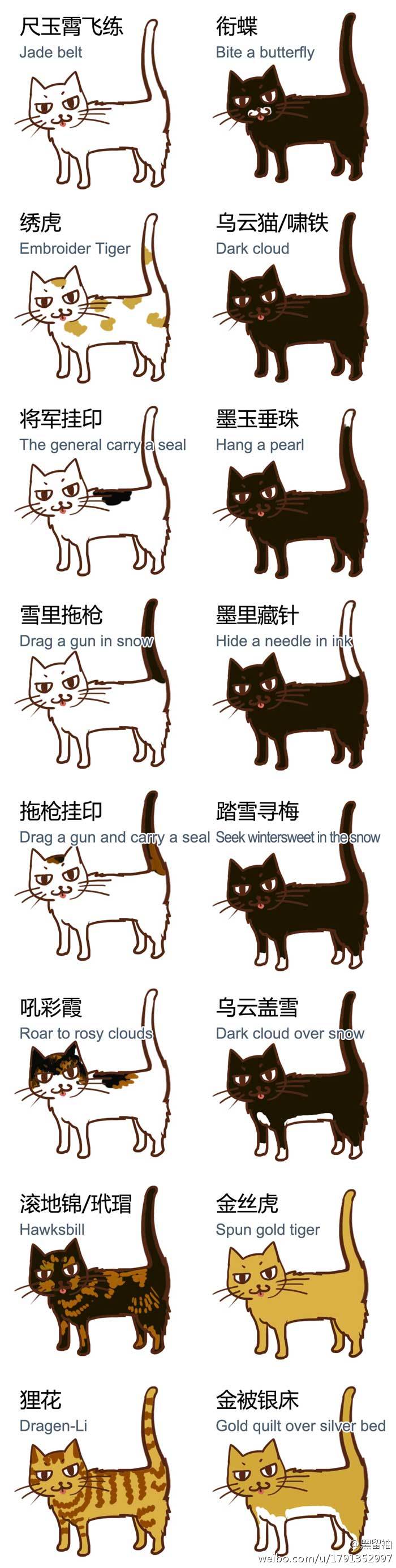 古代各种猫的称呼