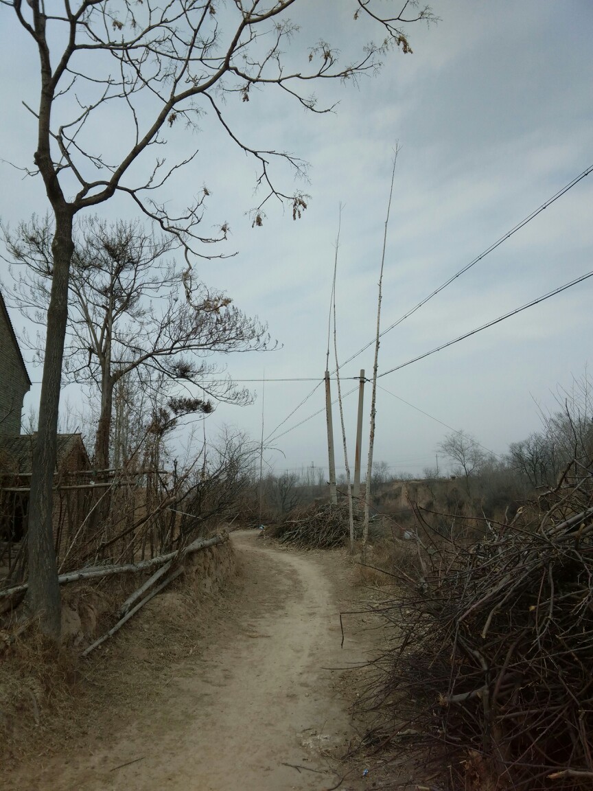 村里风景