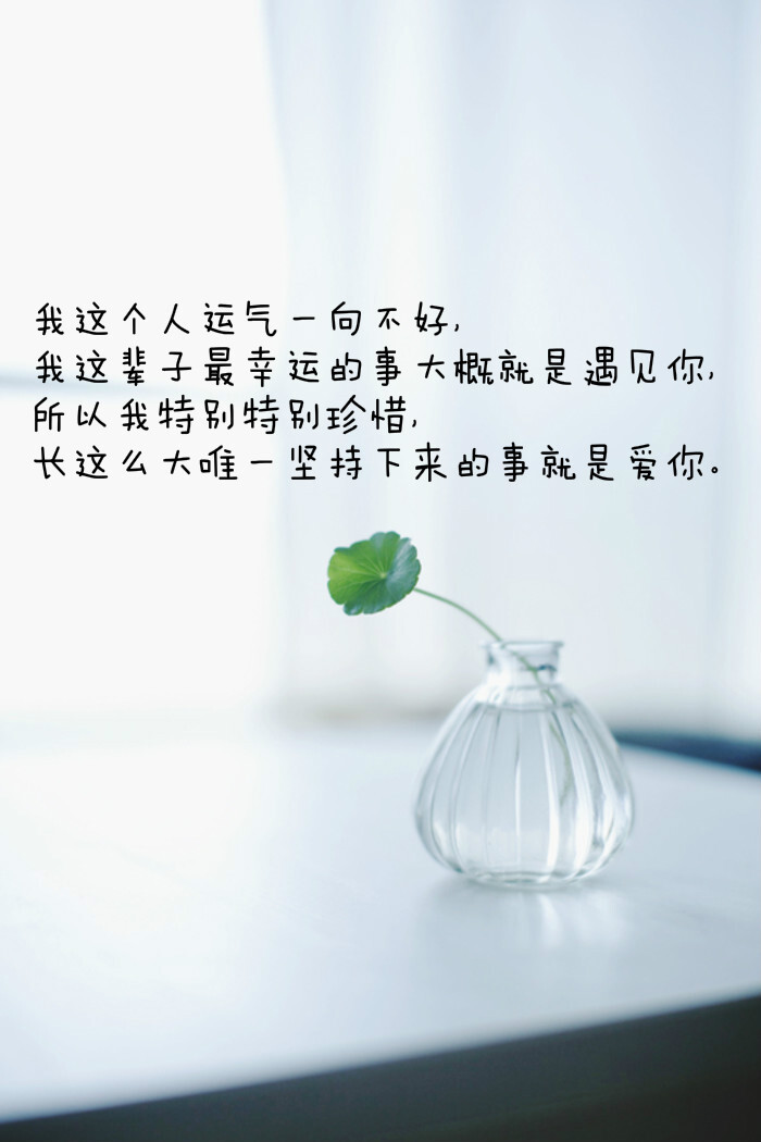 ———《我不喜欢这世界,我喜欢你》 图片来自 @瓦蓝的猫