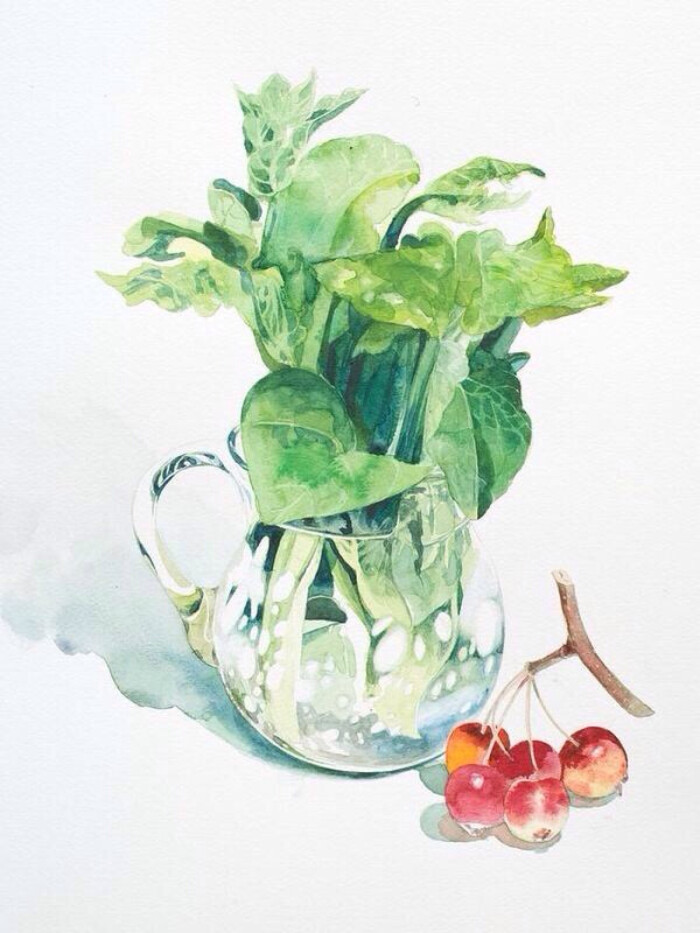 系列11:水粉蔬菜果蔬花卉,清新淡色,壁纸背景