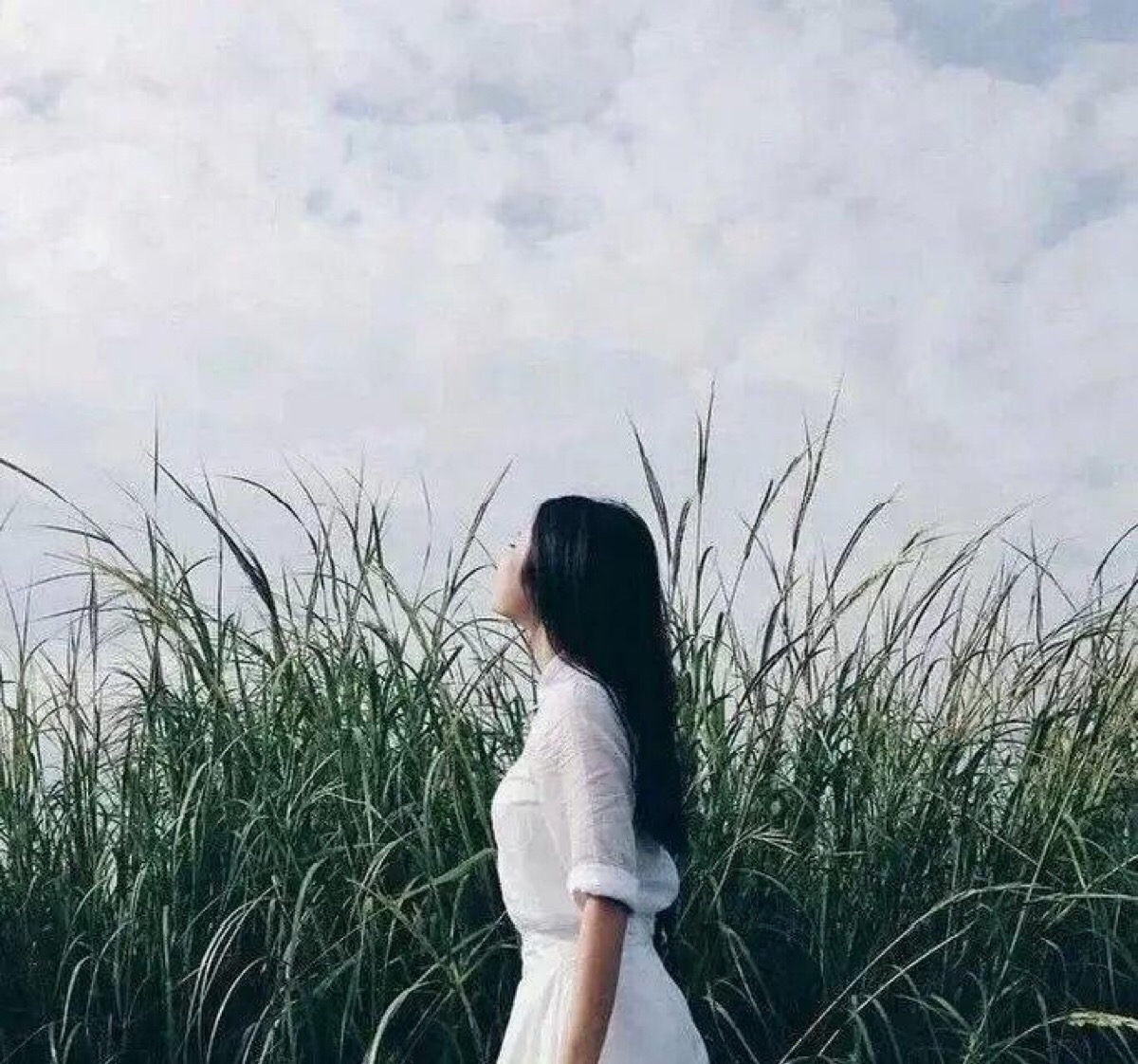 女头 侧脸 小清新