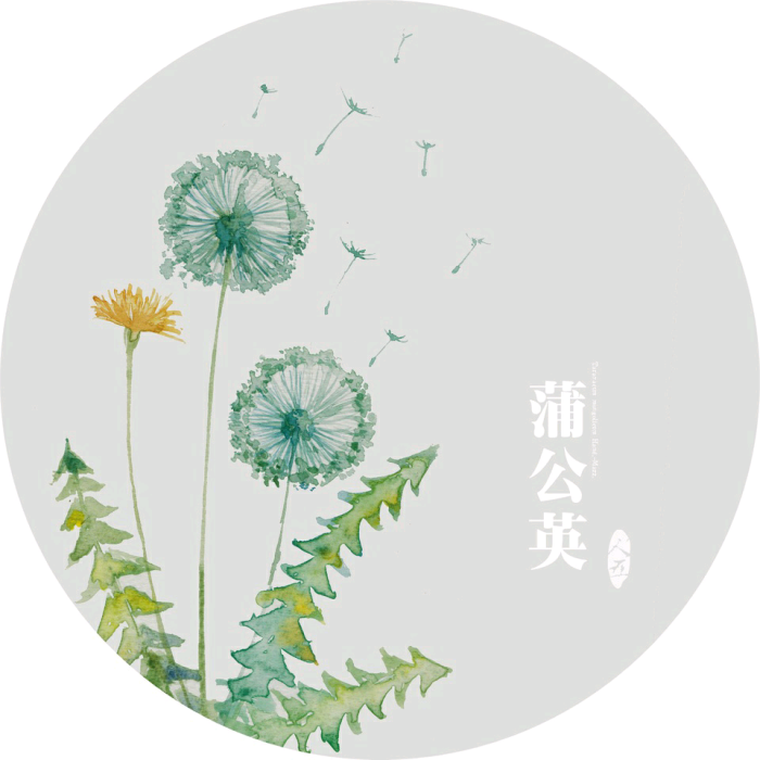 出版过《手绘本草》一书,并绘制了诸多水彩植物明信片.