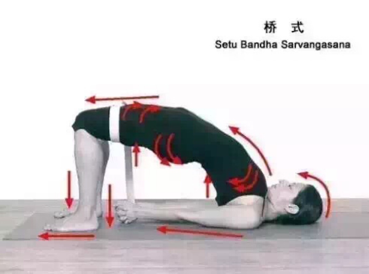 sarvangasana)setu = 桥 bandha =锁 作为经典瑜伽动作之一,桥式可以