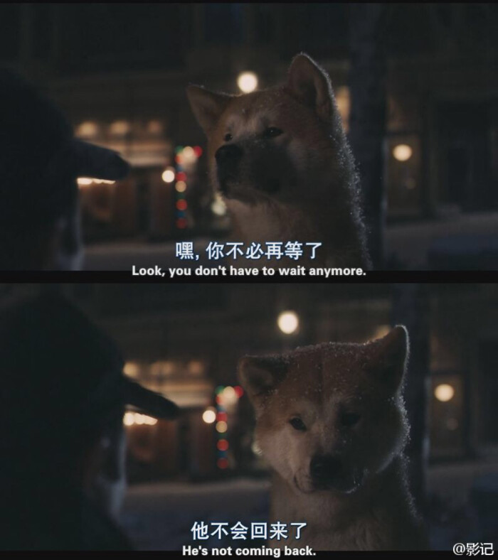 忠犬八公 台词