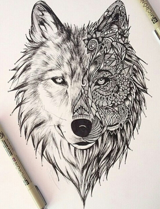 画画 钢笔画 狼