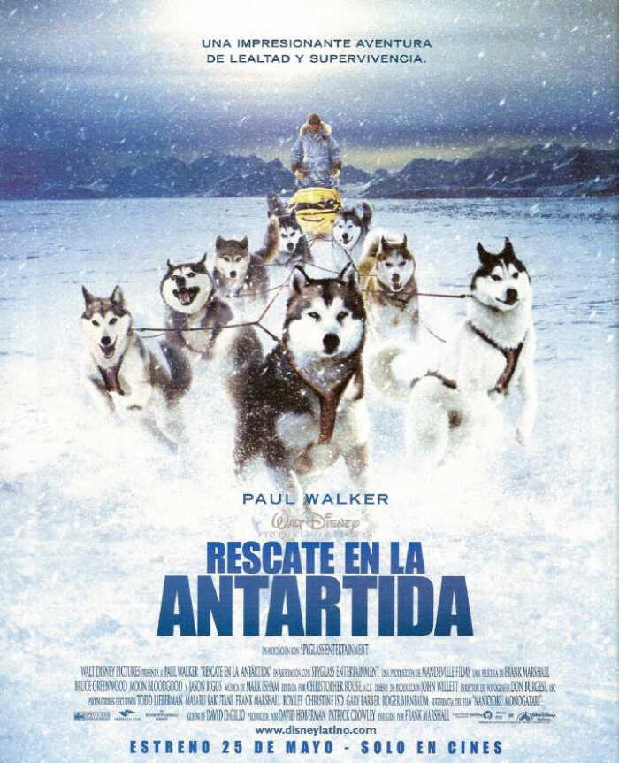 《南极大冒险》 电影讲述了八条雪橇犬在残…