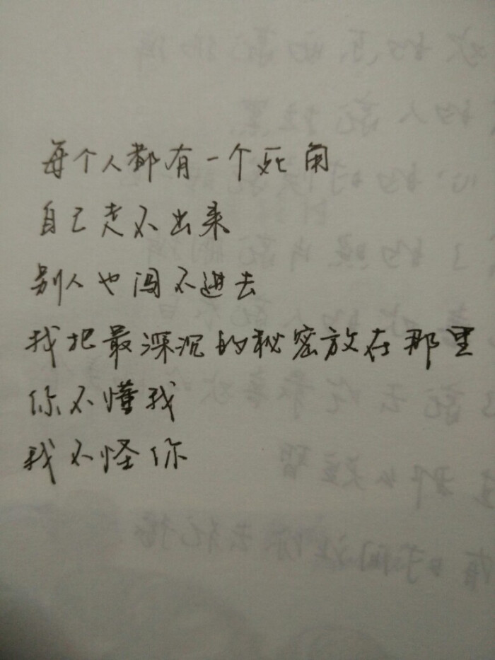 你不懂我,我不怪你. 手写文字