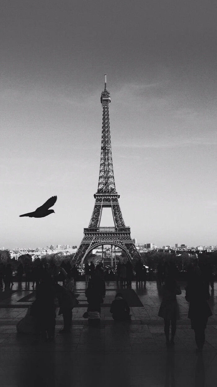 黑白 埃菲尔铁塔 巴黎铁塔 法国巴黎 风景 壁纸 唯美壁纸 cr.