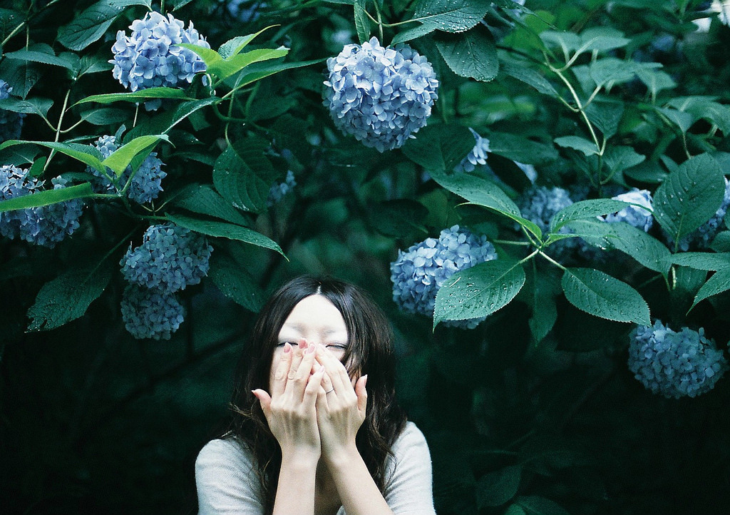 女孩与绣球花