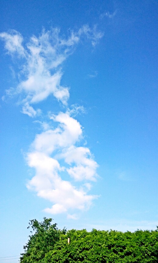 台风前的早晨,正夏的风居然有微凉,这时天空带有明朗又琢磨不定的气氛