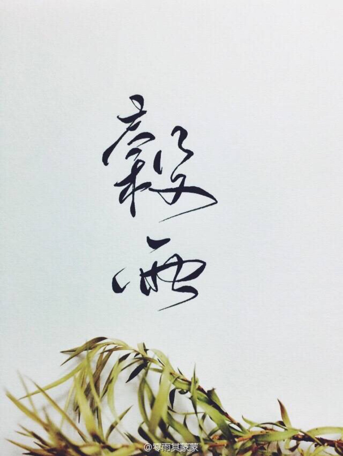 菊花字体