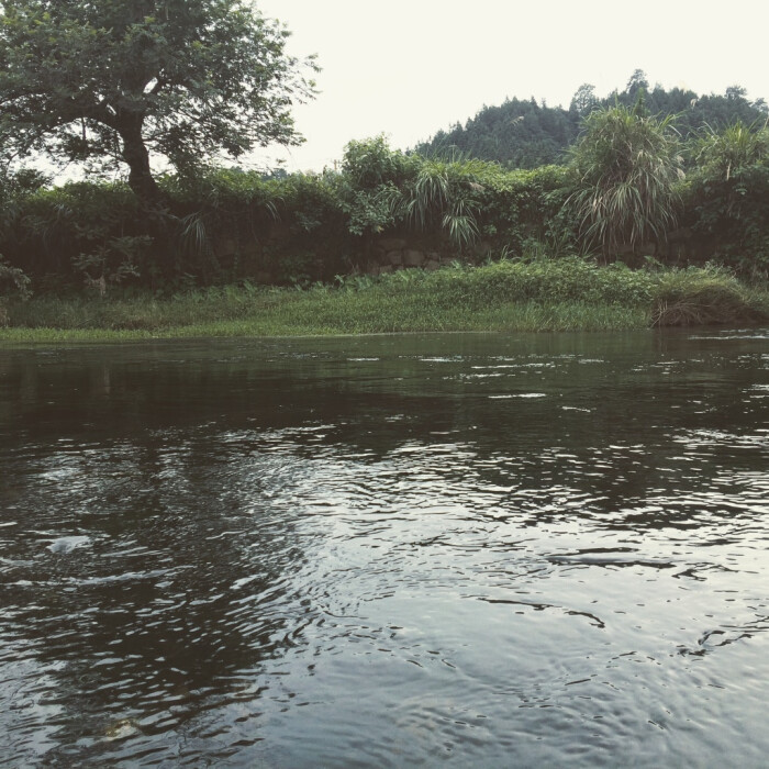 小河边拍摄,阴天