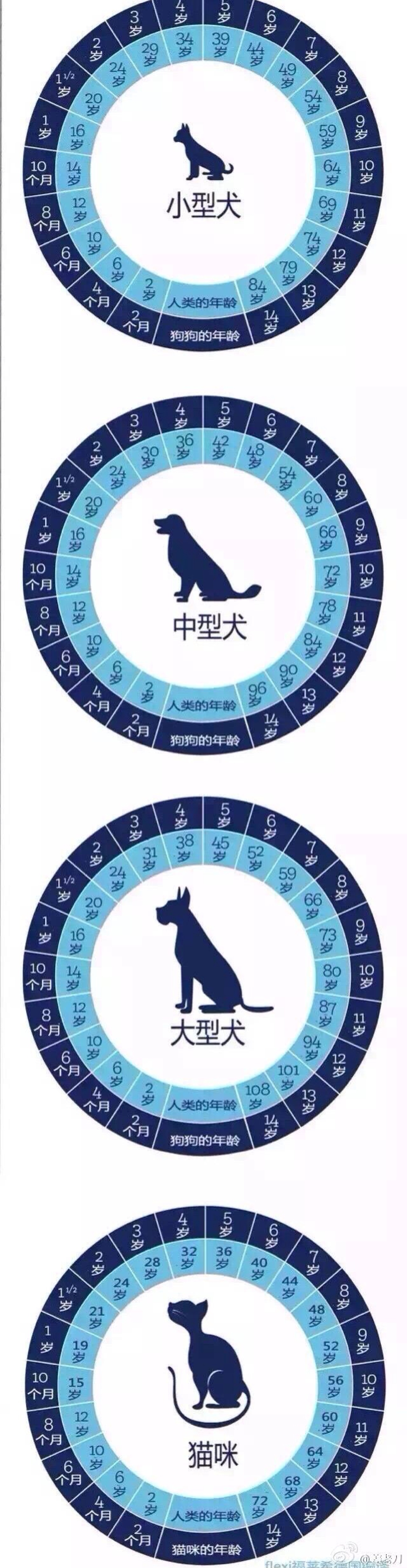 狗狗猫猫年龄与人类年龄换算图