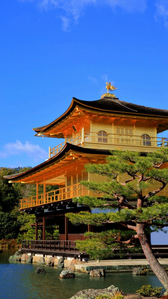 京都日本古刹金阁寺