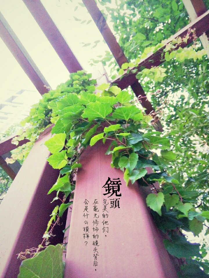 纯静时光-岁月不等我,我留下岁月.