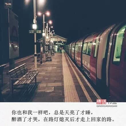 你也和我一样吧,总是天亮了才睡,醉酒了才哭,在路灯熄灭后才走上回家