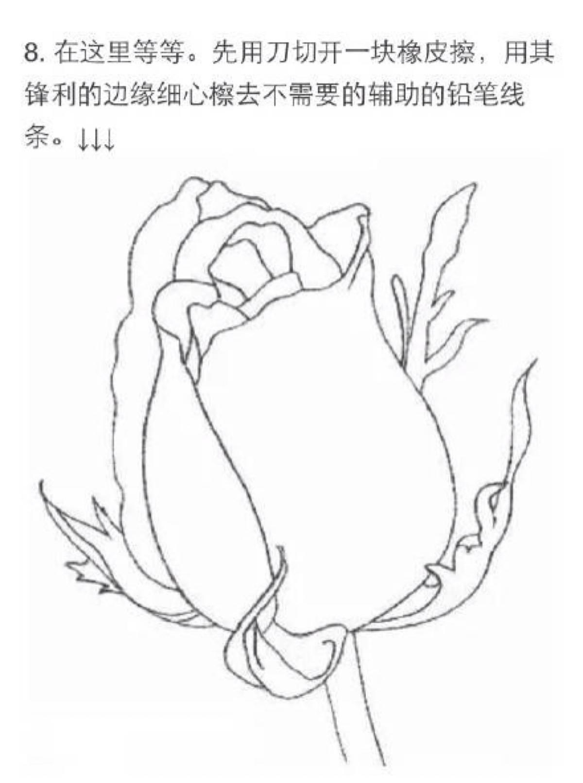 在微博上看到的画玫瑰的教程!忍不住和大家分享啦!