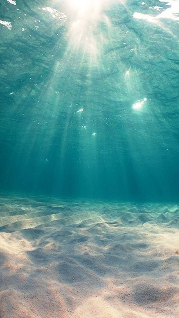 深海 手机壁纸 唯美 自然风光海洋 养眼