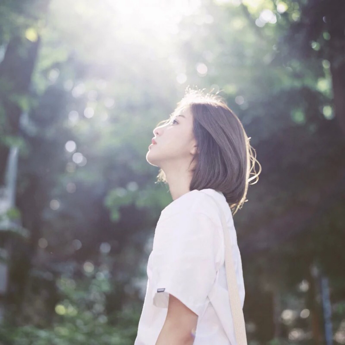 女生头像 唯美 阳光 小清新 你是我仰头可以看到但是不能拥抱的太阳.