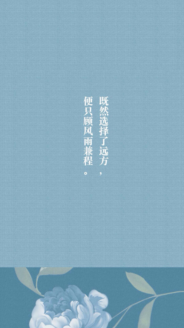 既然选择了远方,便只顾风雨兼程.
