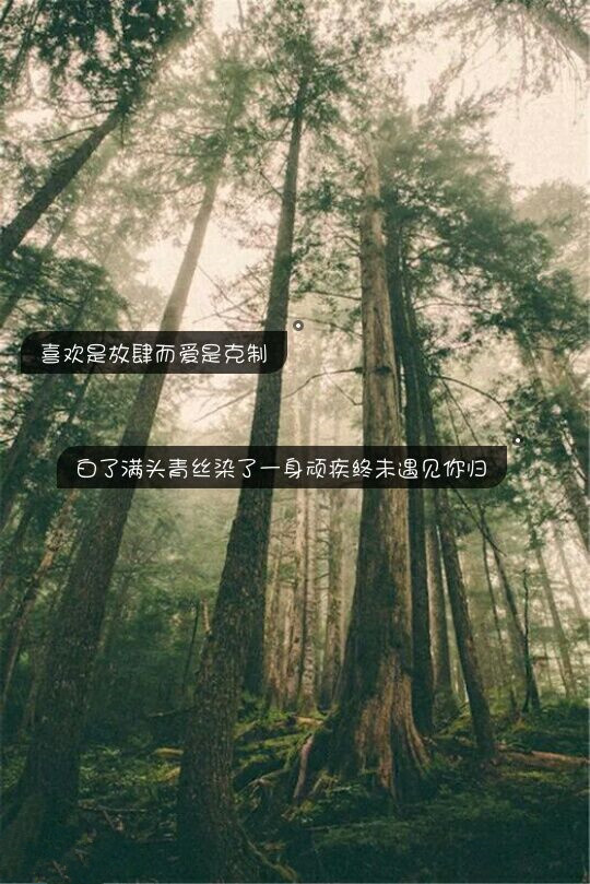 「壁纸」喜欢是放肆而爱是克制白了一头青丝染了一身顽疾终未见你归.