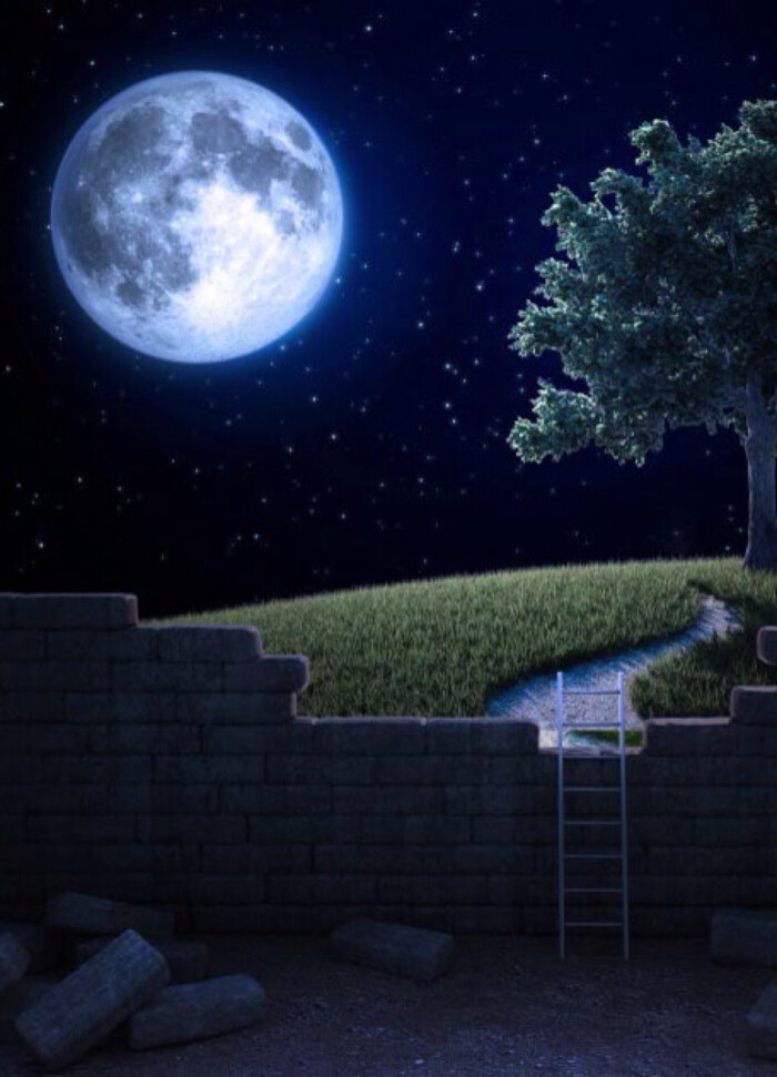唯美星空 夜景 夜空 星光 明月 月光 自然风景 iphone手机壁纸 唯美