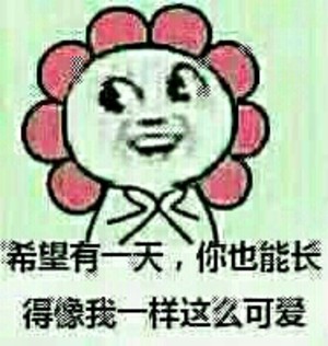暴漫 斗图 猥琐猫 搞笑 没节操