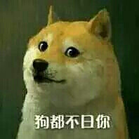 doge表情√