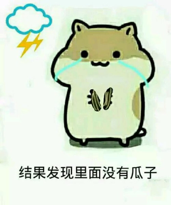 仓鼠掉瓜子
