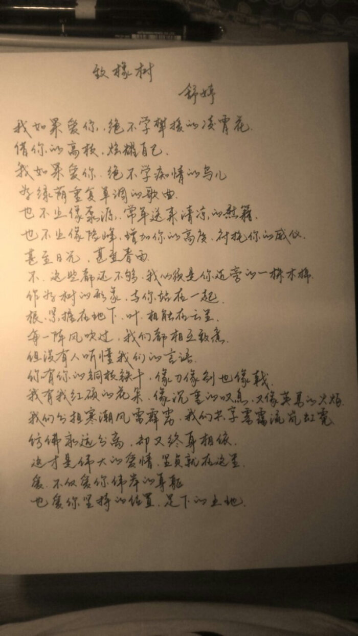 致橡树 