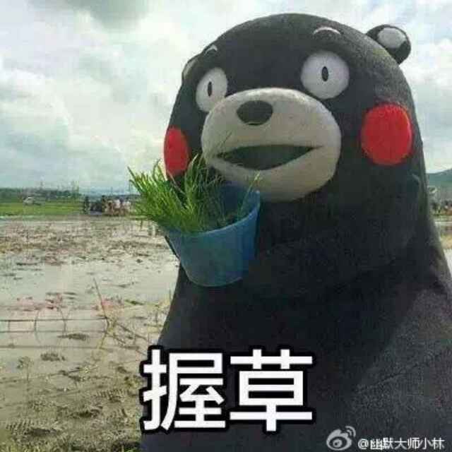 熊不熊表情包 恶搞 之 握草