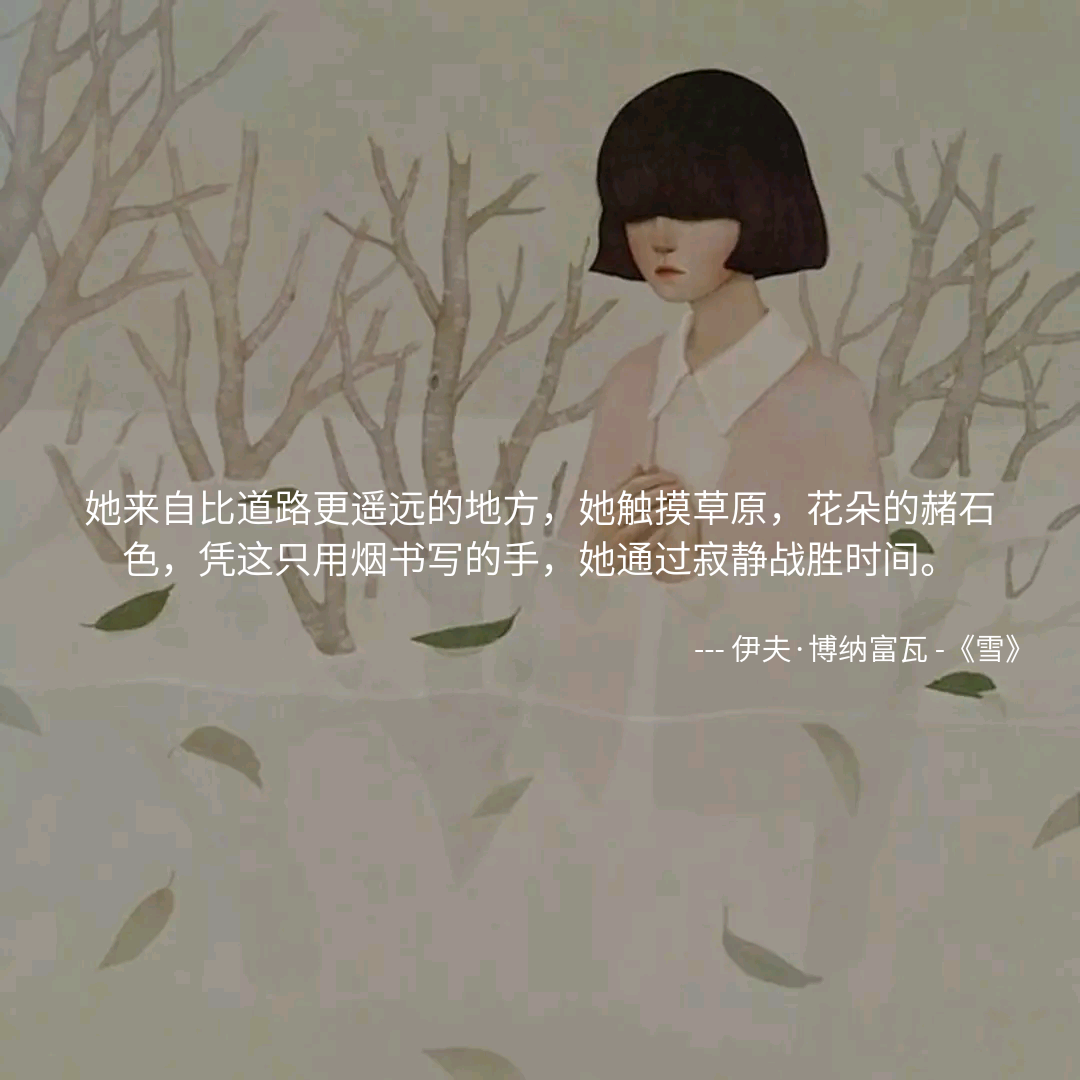 mono诗歌 绘画插画 哲理 文字句子